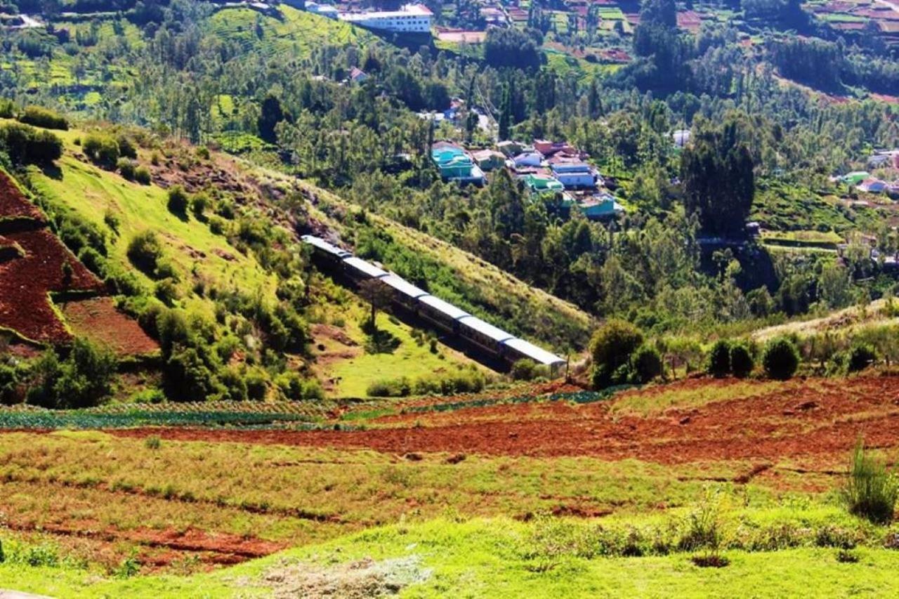 OneLovedale Blusalz Homes Ooty Extérieur photo