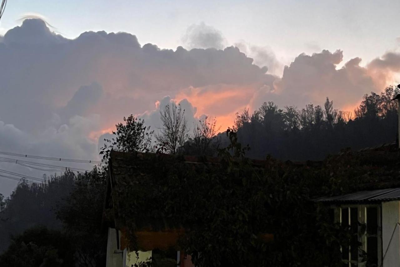 OneLovedale Blusalz Homes Ooty Extérieur photo