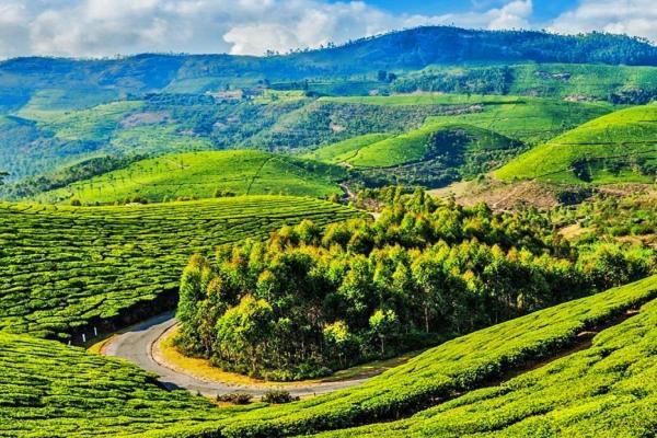 OneLovedale Blusalz Homes Ooty Extérieur photo