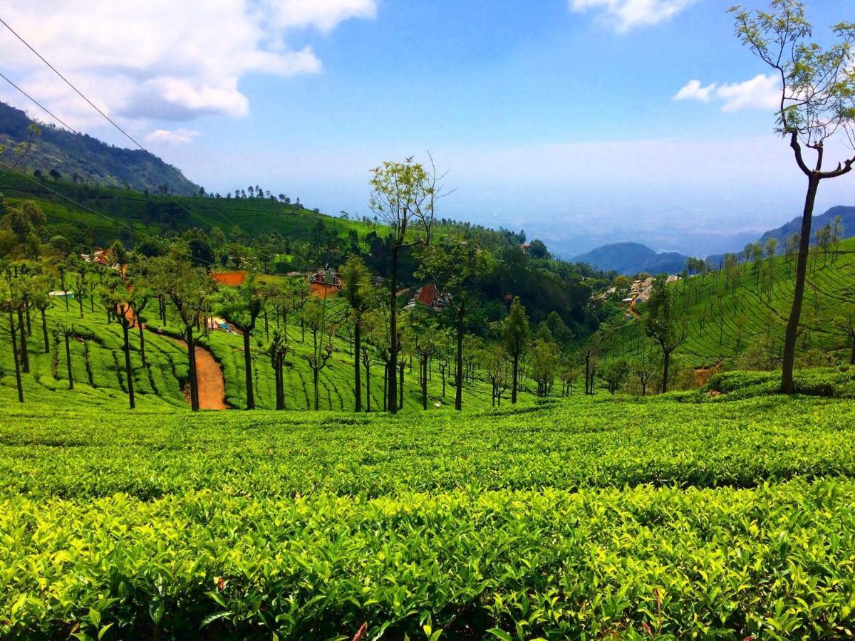 OneLovedale Blusalz Homes Ooty Extérieur photo
