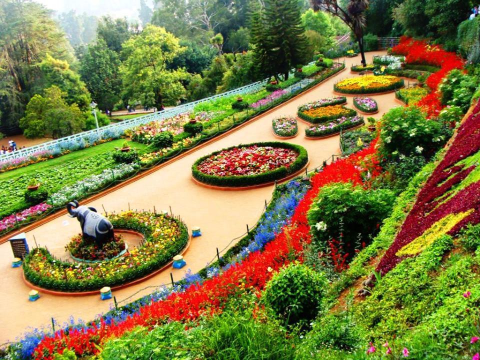 OneLovedale Blusalz Homes Ooty Extérieur photo
